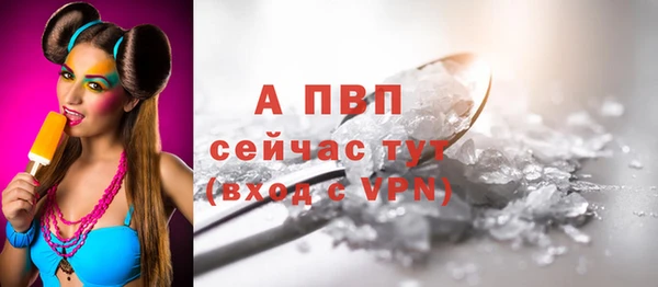 ПСИЛОЦИБИНОВЫЕ ГРИБЫ Богородицк