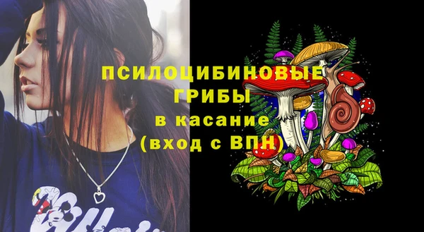 героин Богданович