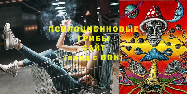 бошки Богородск