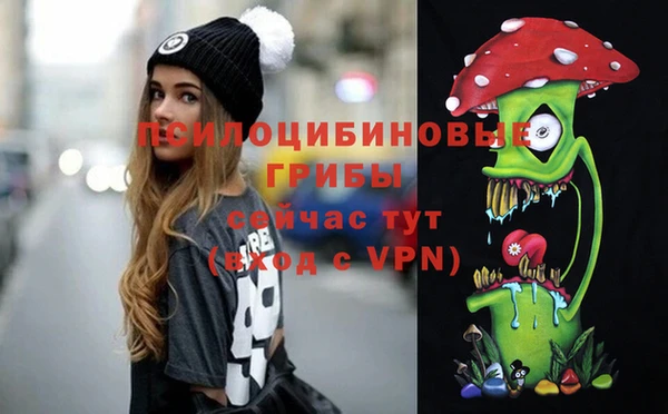 ПСИЛОЦИБИНОВЫЕ ГРИБЫ Богородицк